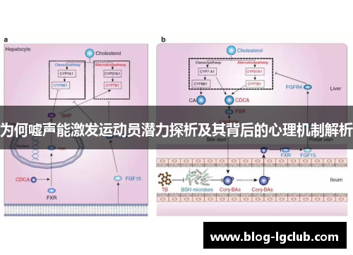 为何嘘声能激发运动员潜力探析及其背后的心理机制解析