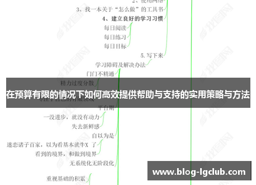 在预算有限的情况下如何高效提供帮助与支持的实用策略与方法