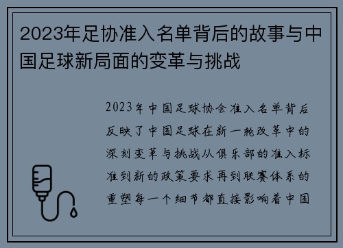 2023年足协准入名单背后的故事与中国足球新局面的变革与挑战