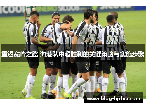 重返巅峰之路 海港队中超胜利的关键策略与实施步骤 重返巅峰之路 海港队中超胜利的关键策略与实施步骤
